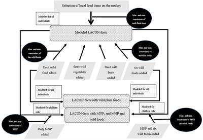 The Impact of Local Agrobiodiversity and Food Interventions on Cost, Nutritional Adequacy, and Affordability of Women and Children's Diet in Northern Kenya: A Modeling Exercise